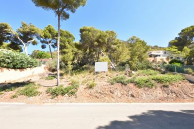 Purchase Sale urban lot en Costa de los Pinos