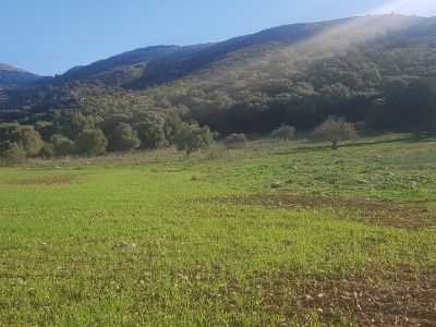Compra Venta Terrenos en Alcudia