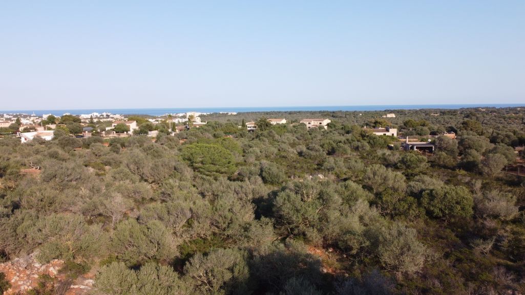 Venta Terrenos Portocolom (Mallorca)