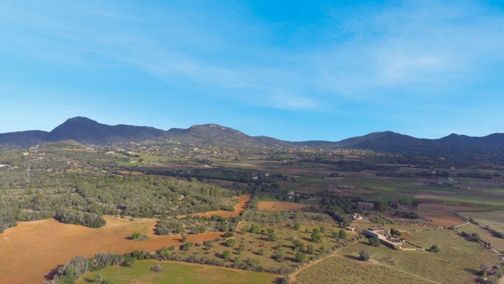 Venta Terrenos Manacor (Mallorca)