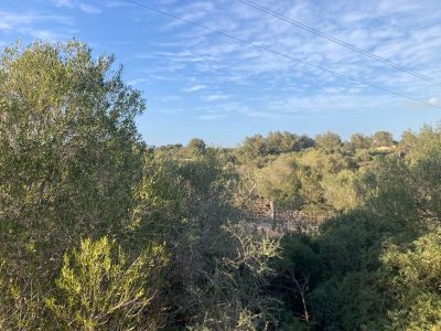 Compra Venta Terrenos en Calas de Mallorca