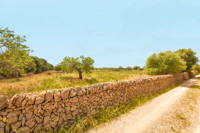 Compra Venta Terrenos en Calas de Mallorca
